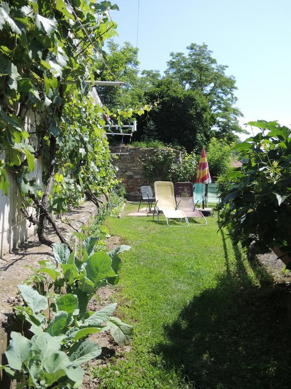 Pension Hamry Vranov nad Dyjí Exterior foto