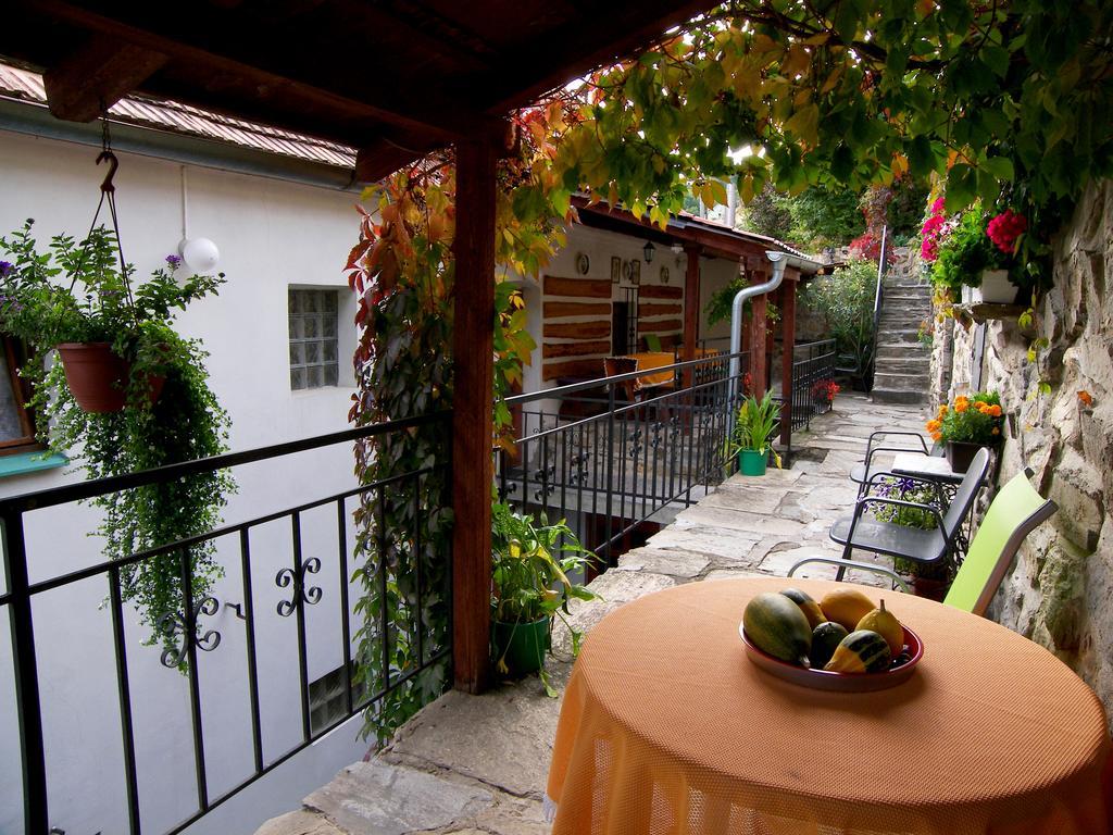 Pension Hamry Vranov nad Dyjí Exterior foto